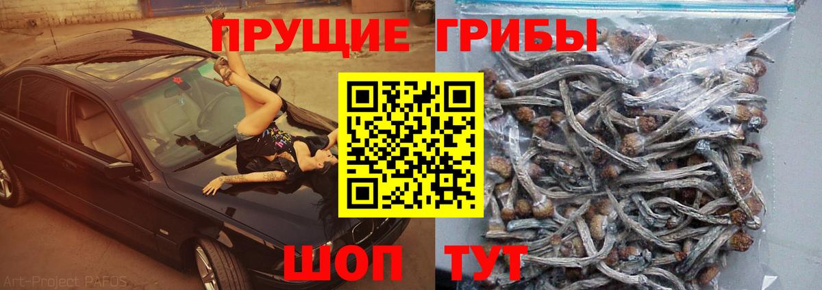 Галлюциногенные грибы мицелий  Вход с VPN  Каменка  Галлюциногенные грибы MAGIC MUSHROOMS 